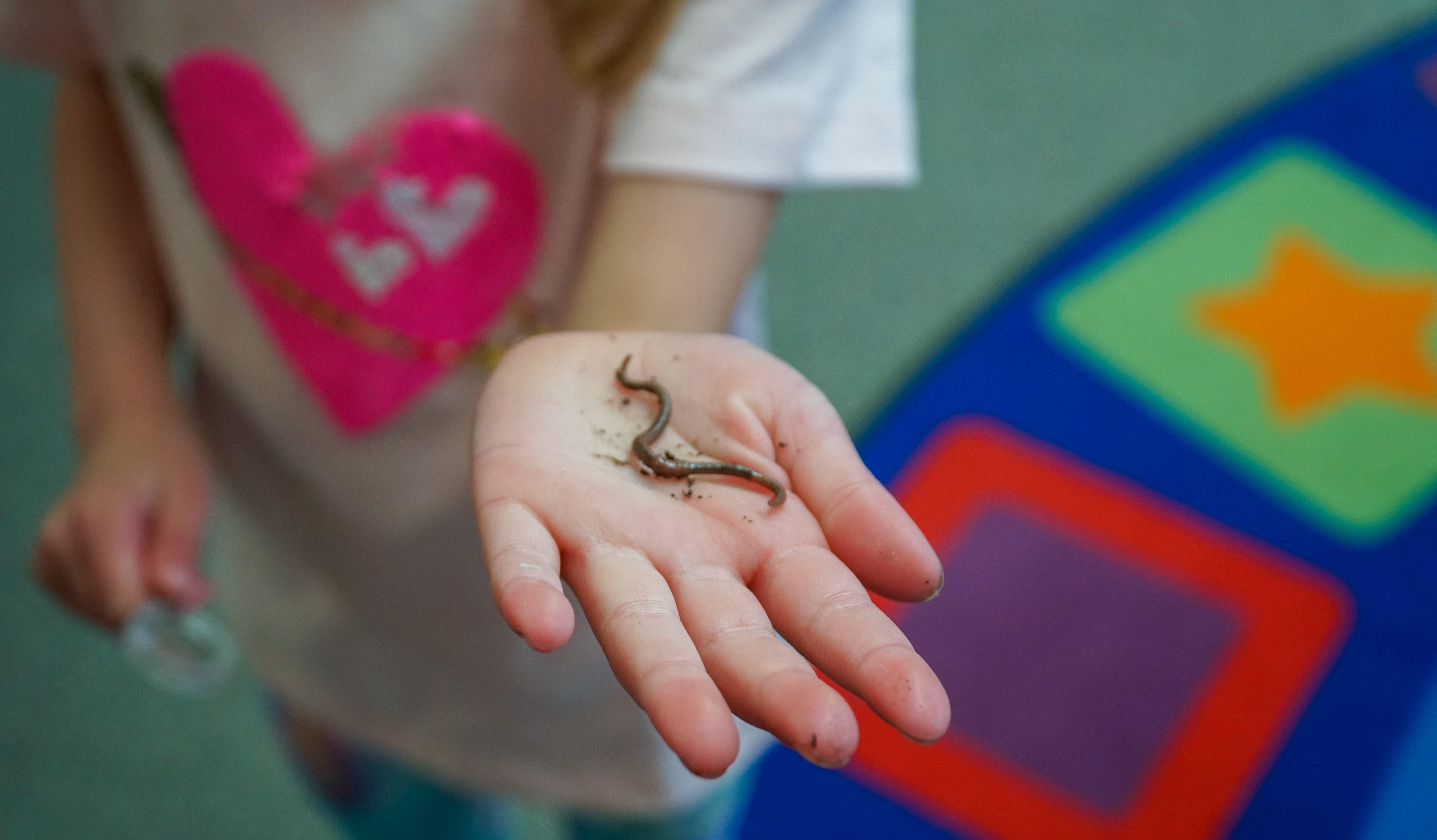 A small hand holding a worm. 