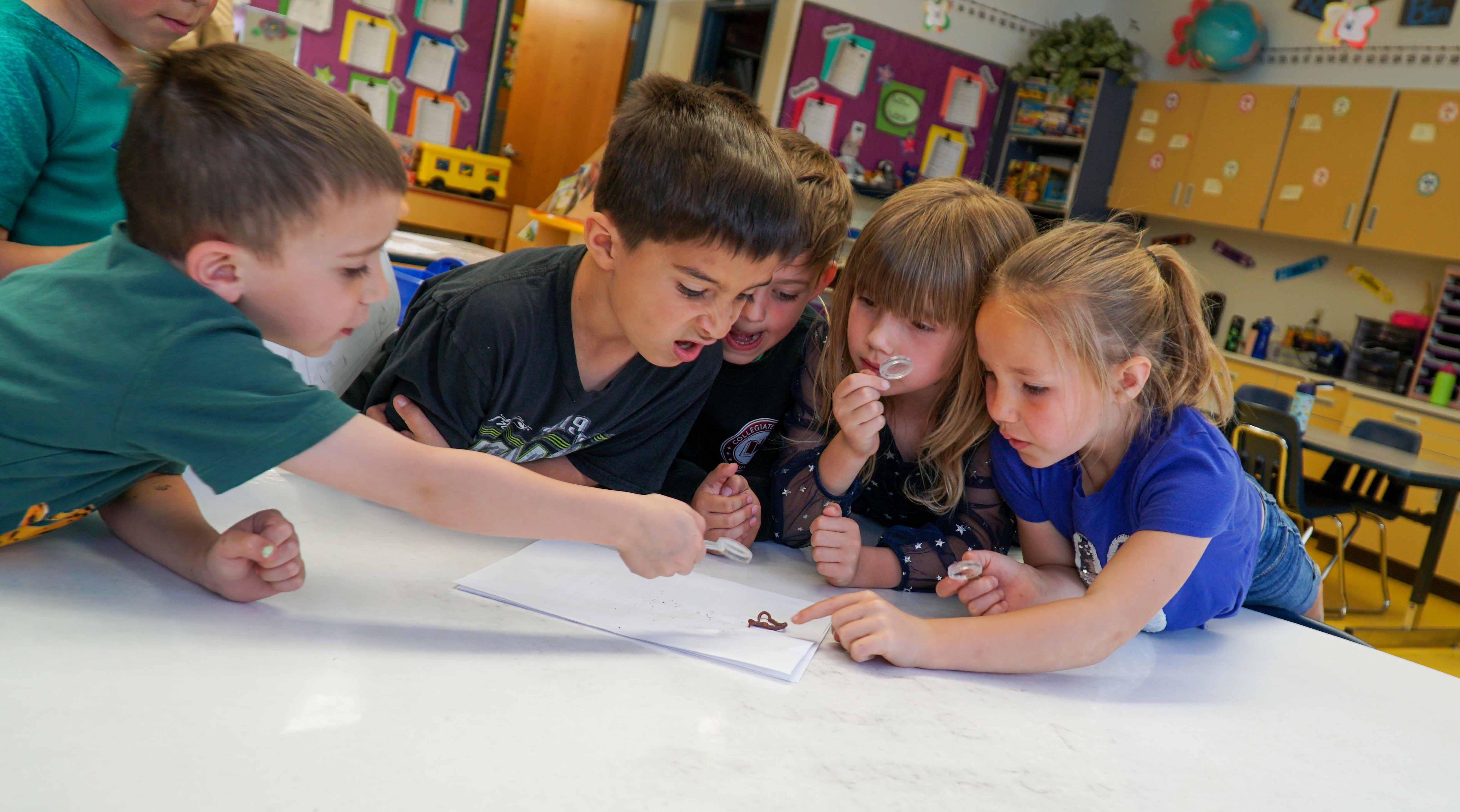 A group of kids look at a worm with a magnifyiing glass. 