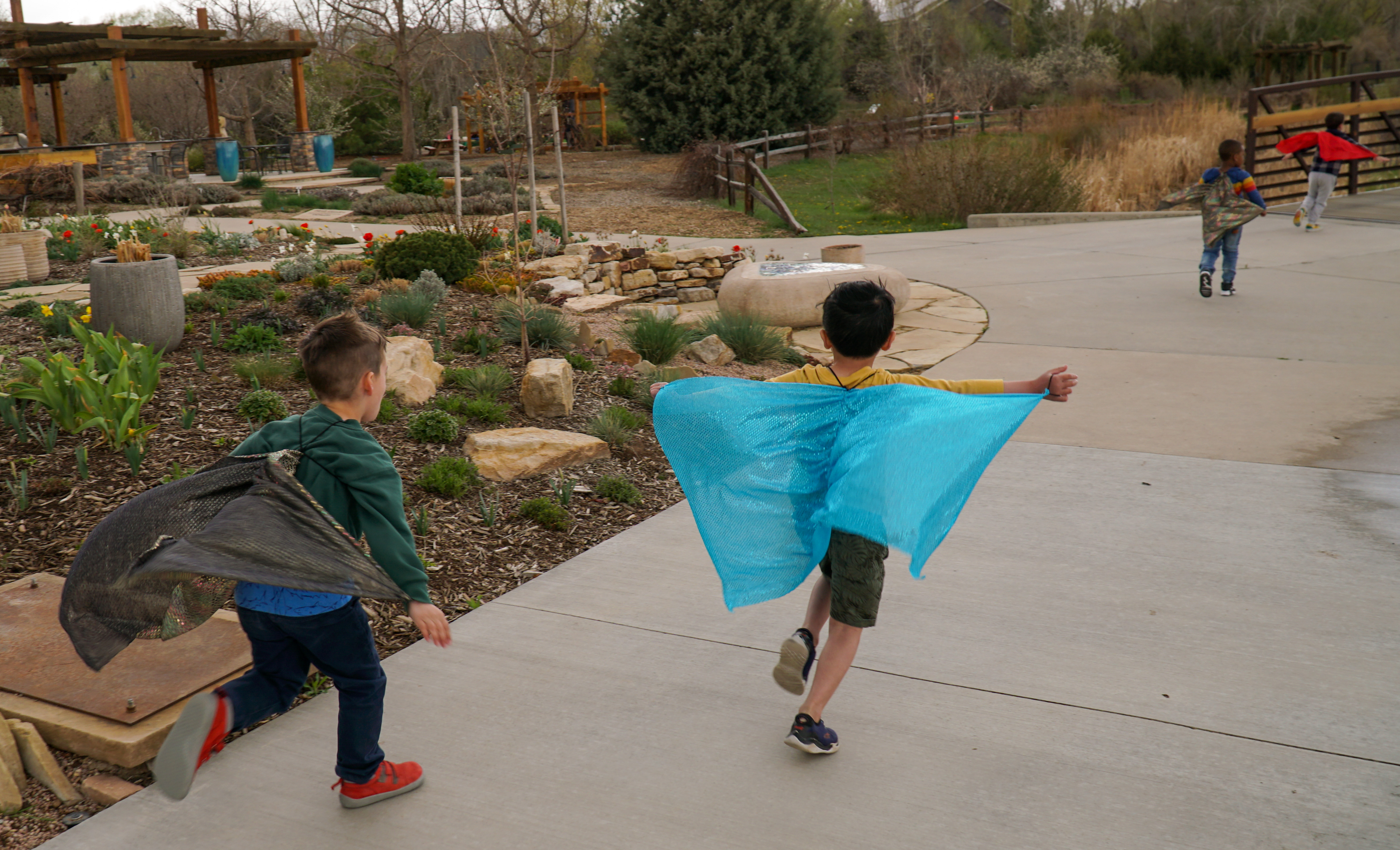 A kindergartner flys with his butterfly wings.