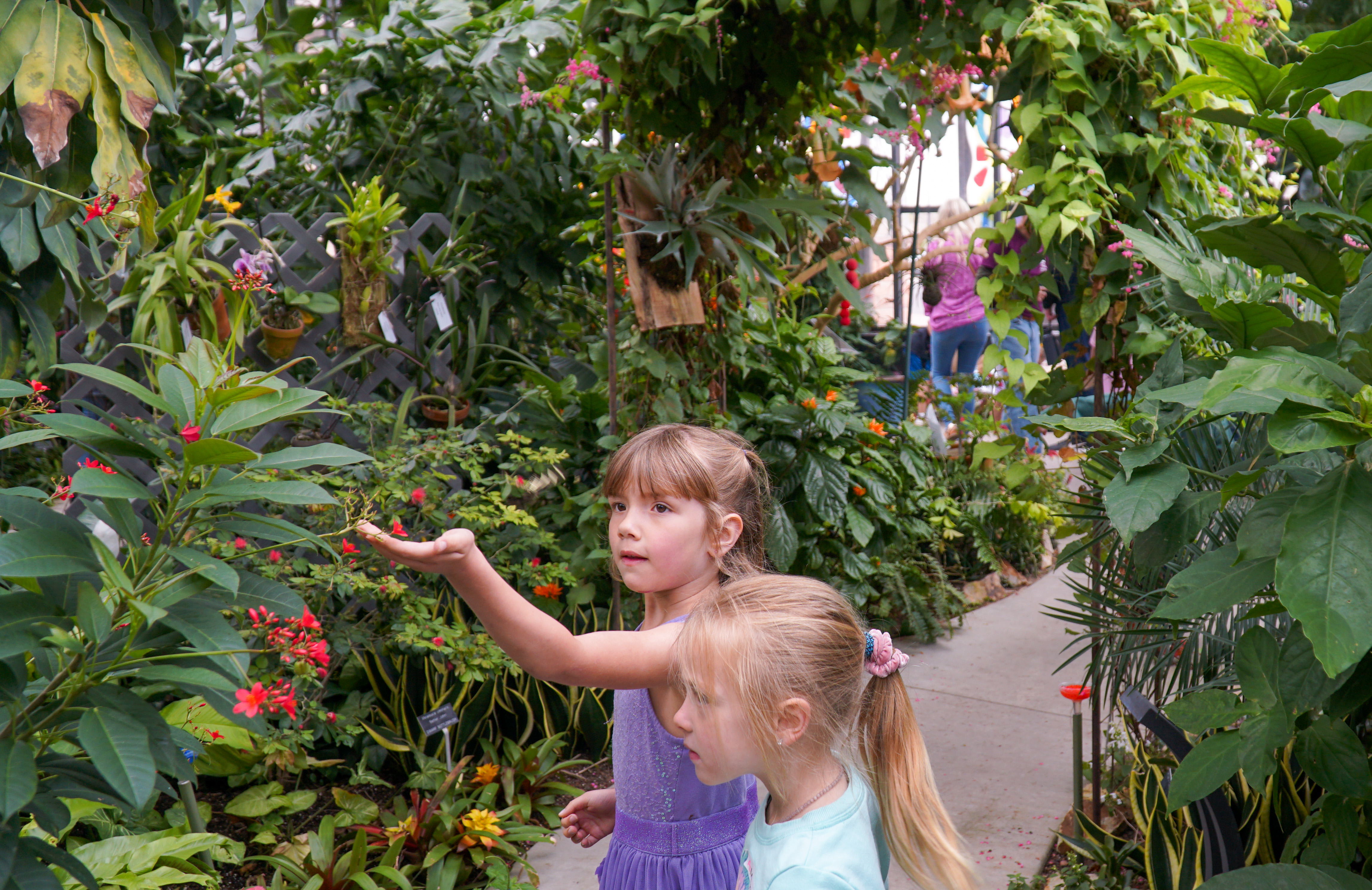 Young students hold their hands out toward butterflies. 