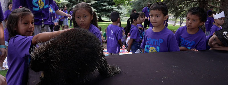 Young students participating in Camp SOL touch a prickly animal. 