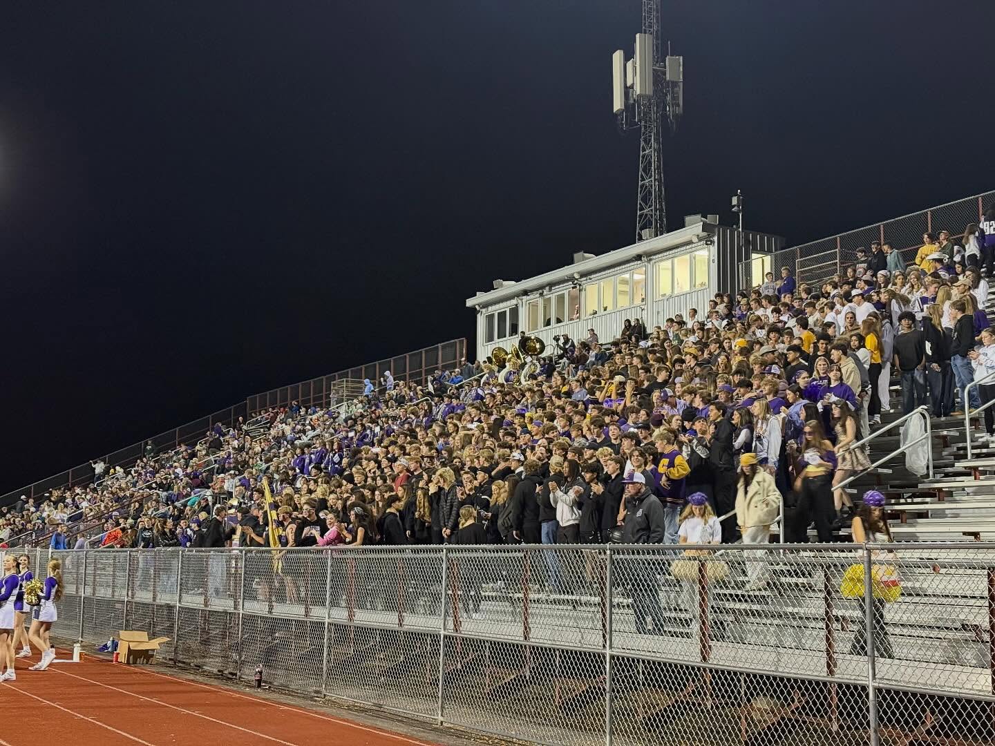 Crowd Cheering at Football Game