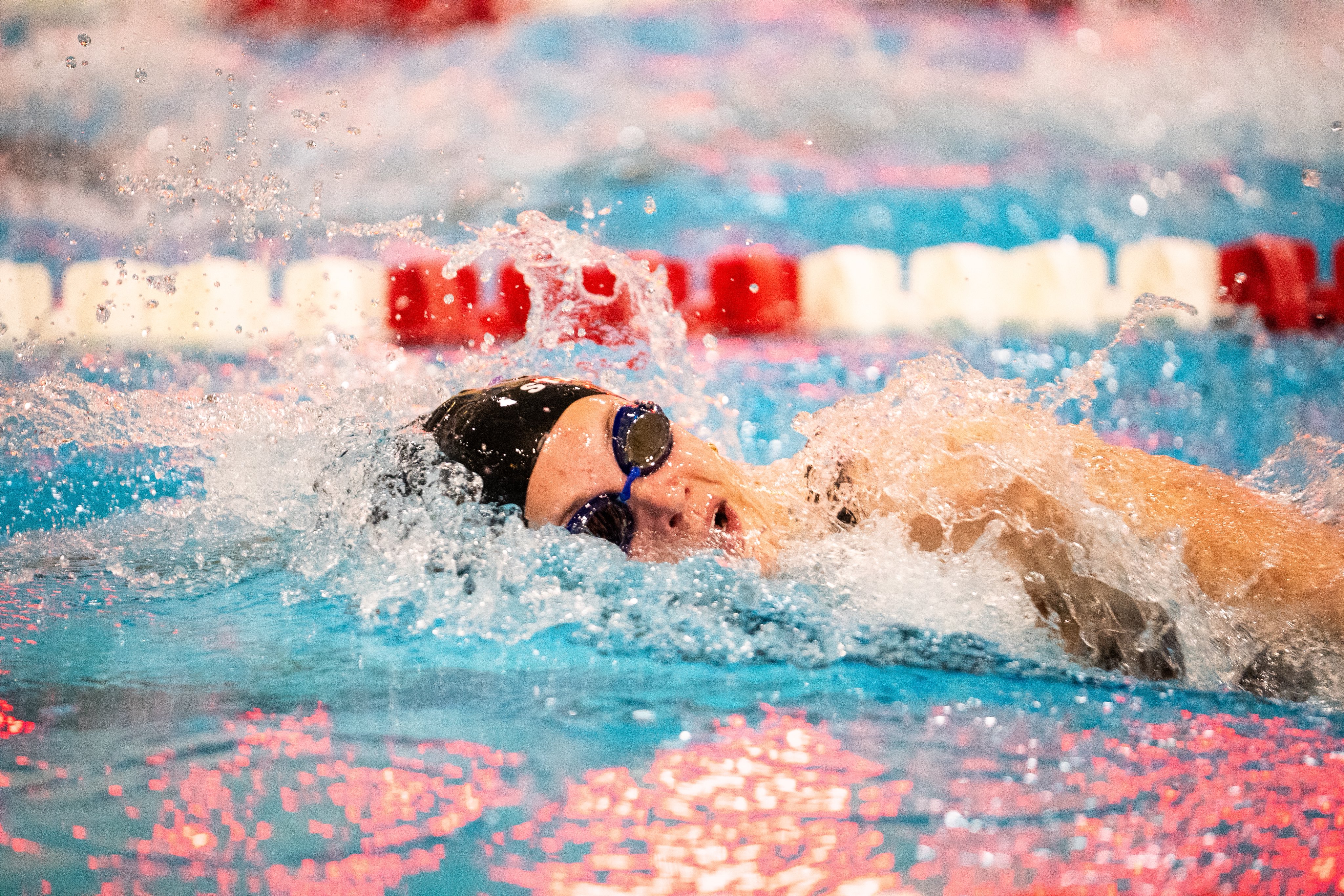Fossil Ridge Swimming
