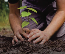 A person holding a plant. 