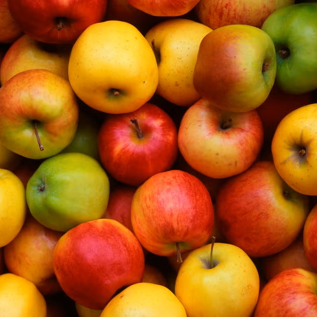 apples in a variety of colors