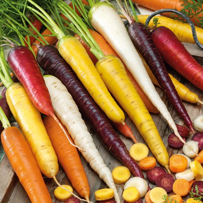 rainbow colored carrots