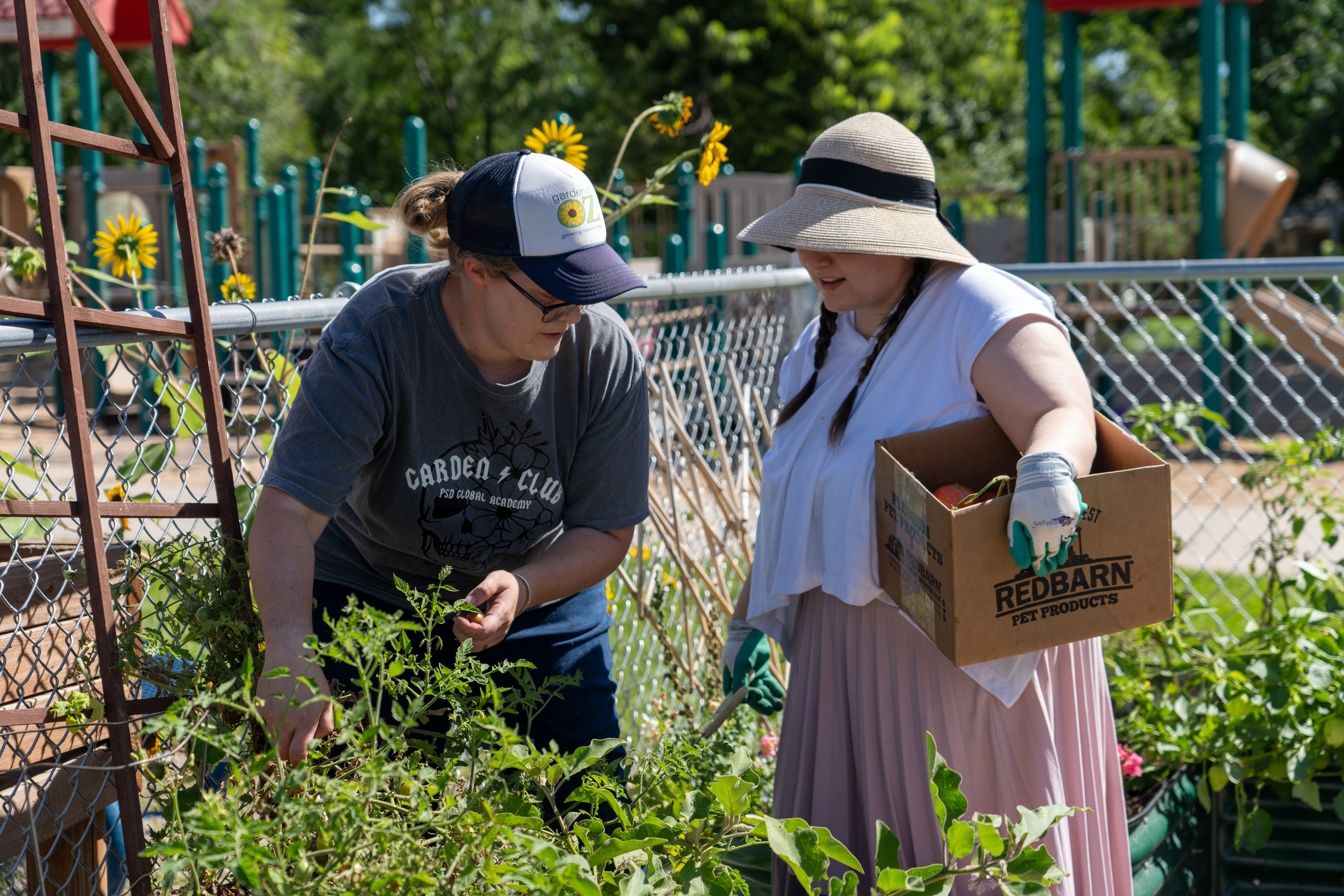 Two students work in the Poudre Global Academy garden. 