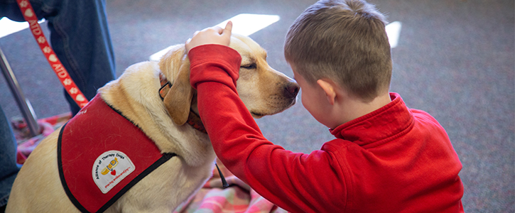 A therapy dog and a young elementary student enjoy time together. 