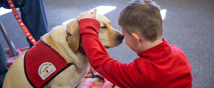 A therapy dog and a young elementary student enjoy time together.