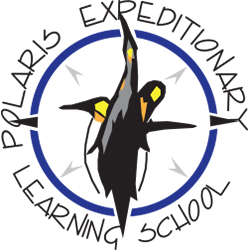 polaris Logo