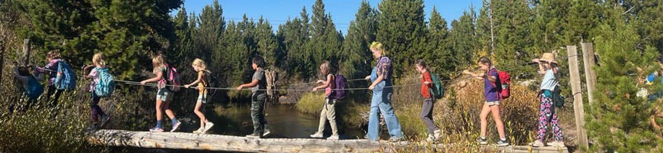 Students walk on a bridge outside.